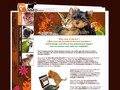 Anim'O Design : création / conception de sites Web animaliers pour éleveurs, chien, chat, oiseau