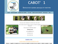 Education canine en Berry