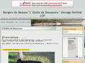 bergers de beauce de l’Etoile de Bossacora