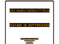 Les anges noirs et feux