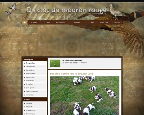 Le mouron rouge