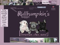 Bullbumpkin’s Bully Dogs Only