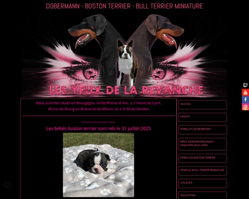 Les Yeux de la Revanche