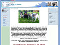 l’echo du dogue