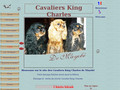 Cavalier King Charles – élevage de Mayobe