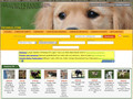 Annonces animaux gratuite