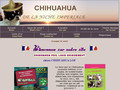 Chihuahuas de la Niche Impérile