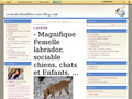 Coeur de Chien Libre