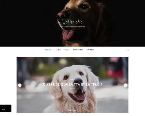 Chien-chic.fr