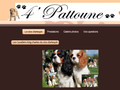 4 pattoune