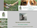 Association SOS Animaux Aquitaine