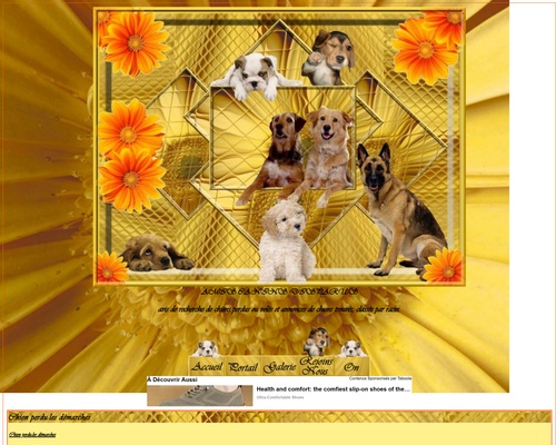 Amis Canins Disparus