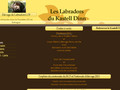 Les Labradors du Kastell Dinn
