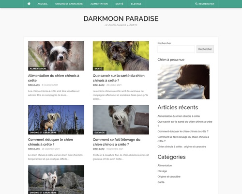 Darkmoon paradise