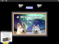 Of Arctic Wolf Dream