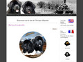 Allsparks Newfoundlands
