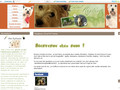 Réglisse & Excel