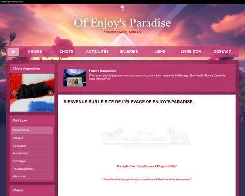Elevage Of Enjoy’s Paradise