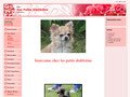 les petits diablotins