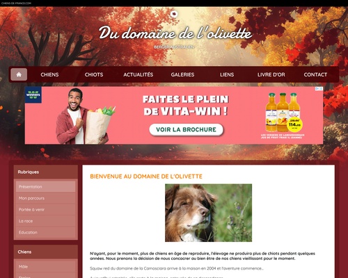 Domaine de l’Olivette