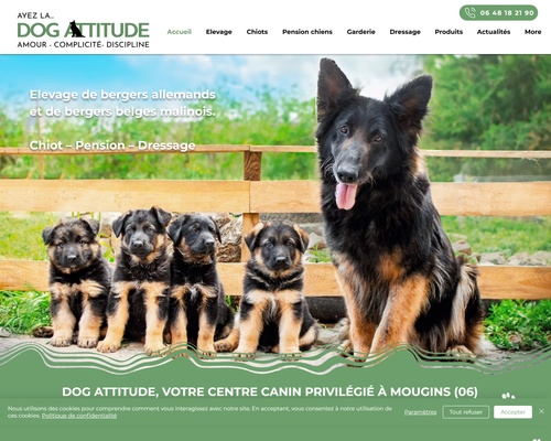 DogAttitude06