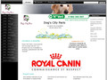 dog’s city paris