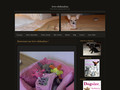 Love chihuahua