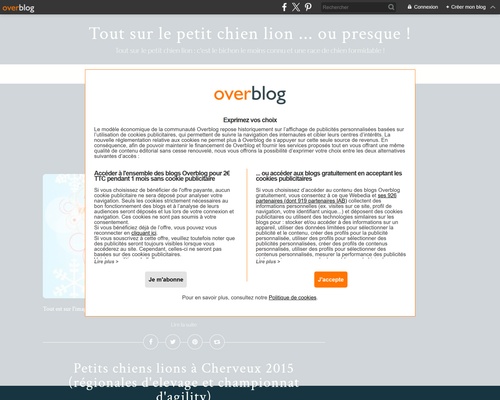 Tout sur le petit chien lion … ou presque !