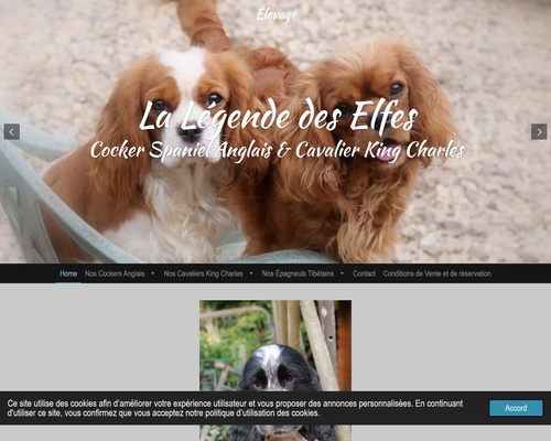 la legende des elfes-haute Normandie