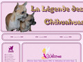 Chihuahua de la Légende des Elfes
