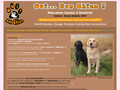 Oui Bon Chien