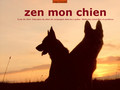 zen mon chien