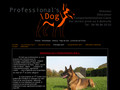 professionnal’s dog trainer