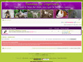 DogsFriends, le forum des animaux