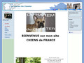 Elevage Du Harem De Chester