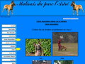 Malinois du parc de l’astré