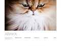 ABAKA