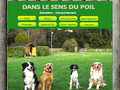 Dans le sens du poil