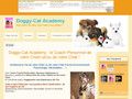 Doggy-Cat Academy