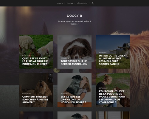 Doggy boutik