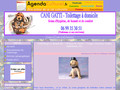 Cani Gatti en gironde
