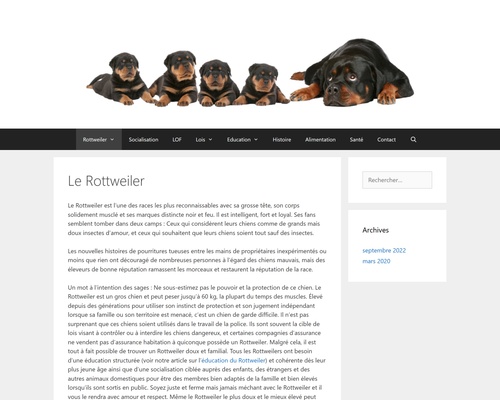 Le rottweiler sous toutes ses formes