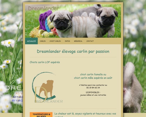 Dreamlander