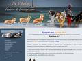 De Viknane Education et Dressage canin