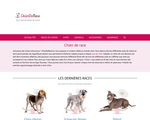 Entre Chien et Nous
