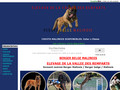 Berger belge malinois de la vallee des remparts
