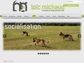 Loïc Michaud (pau)