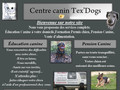 Pension et education Canine