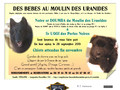 le Moulin des Uranides