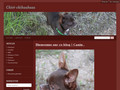 Le Royaume des minis stars